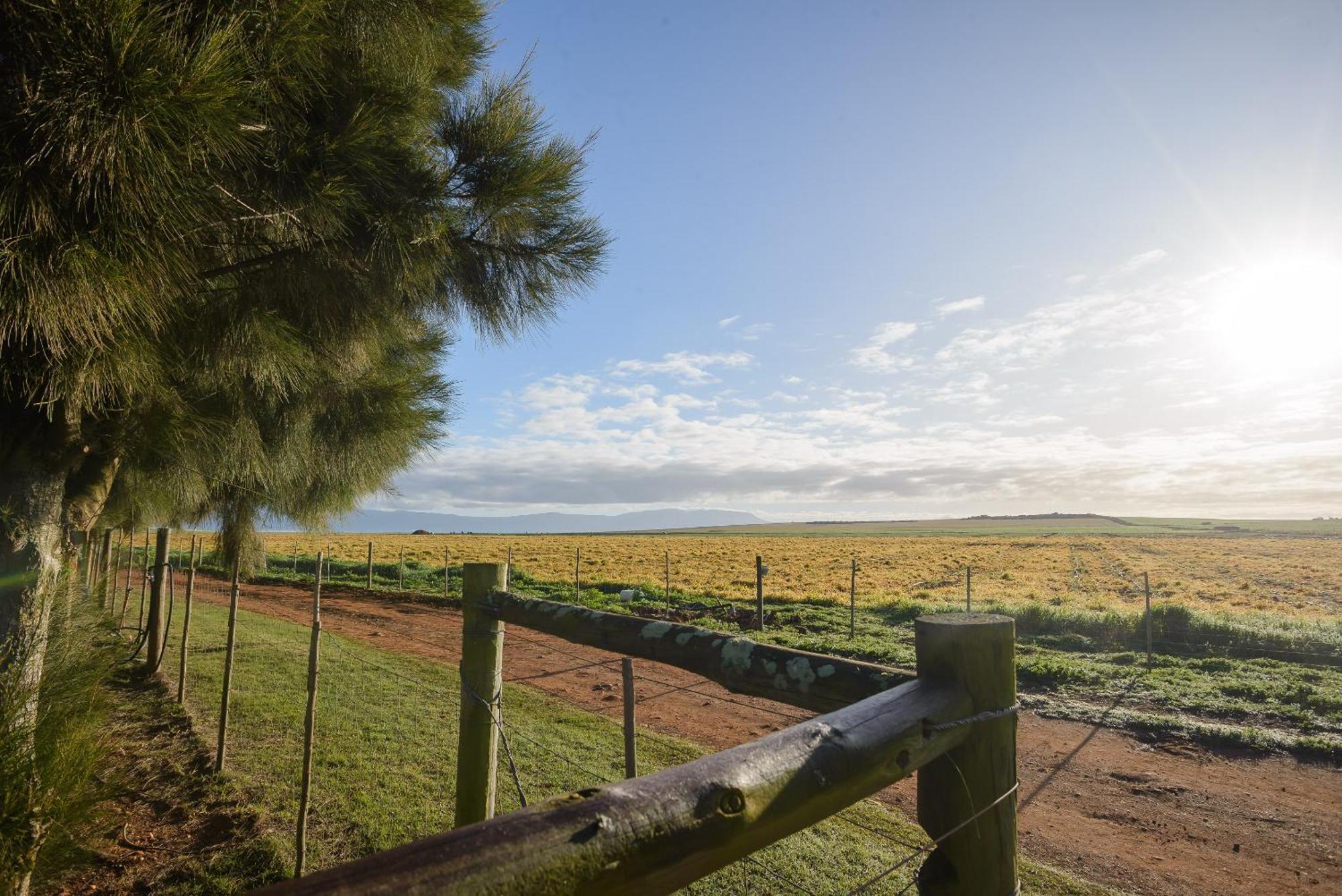 Oorvloed Guesthouse Swellendam Zewnętrze zdjęcie